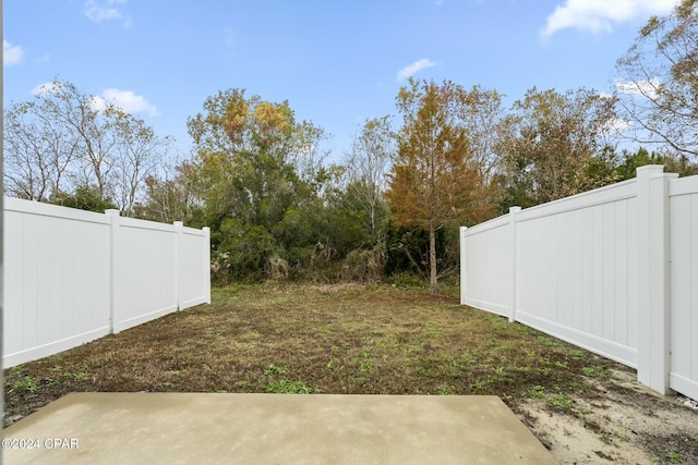 view of yard featuring a patio area