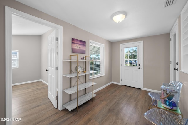 foyer entrance featuring wood-type flooring