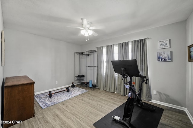 workout room featuring hardwood / wood-style flooring and ceiling fan