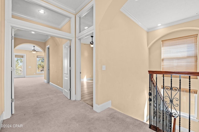 corridor featuring light colored carpet and crown molding