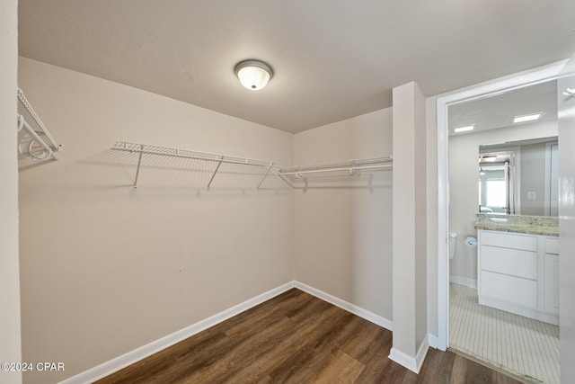 spacious closet with dark hardwood / wood-style flooring