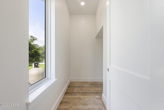 spacious closet featuring light hardwood / wood-style flooring