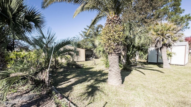 view of yard featuring a shed