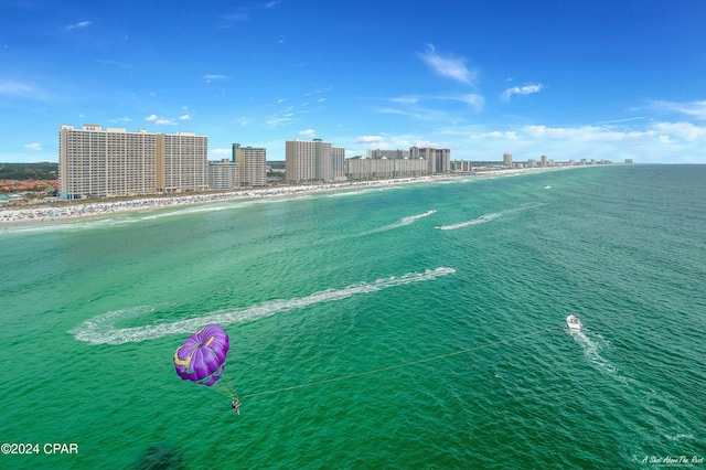 water view featuring a view of the beach