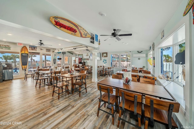 dining space with light hardwood / wood-style floors, plenty of natural light, and ceiling fan