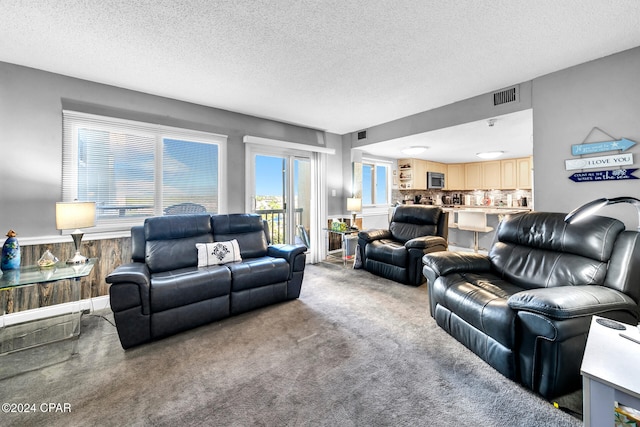 carpeted living area with wainscoting, visible vents, and a textured ceiling