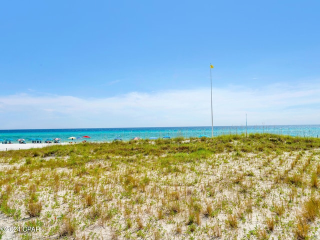 water view featuring a beach view