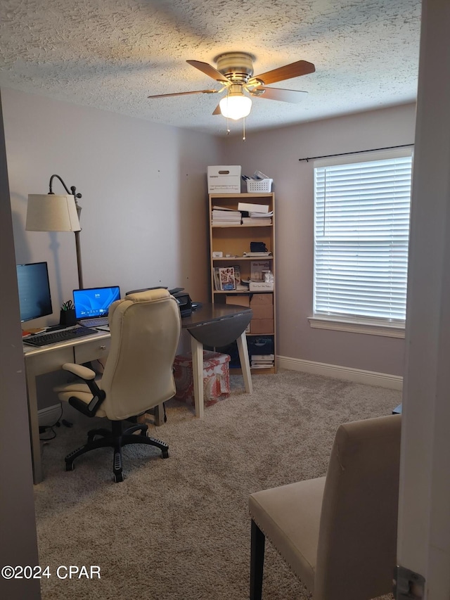 office space featuring carpet, a textured ceiling, and ceiling fan