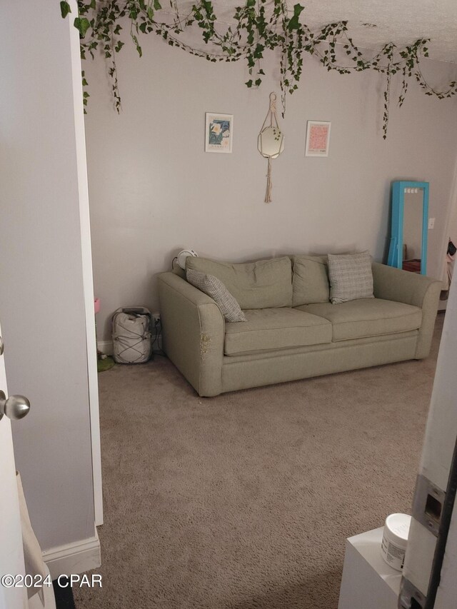 3707 Bay Tree Rd, Lynn Haven, FL 32444 - living room featuring carpet and baseboards