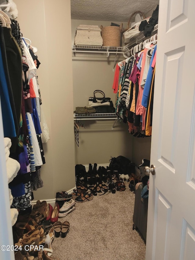 spacious closet with carpet flooring