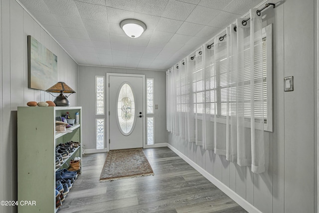 foyer featuring wood-type flooring