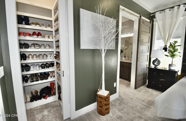 walk in closet with a barn door, light colored carpet, and sink