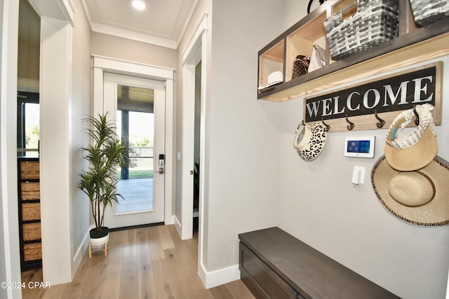 mudroom featuring crown molding and hardwood / wood-style floors