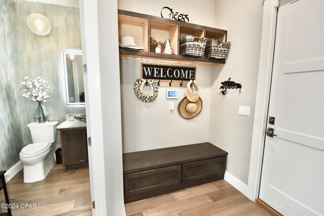 mudroom featuring light hardwood / wood-style flooring