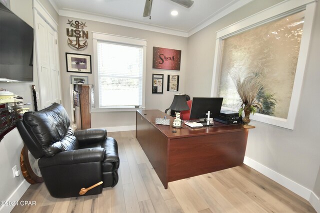 office space with ceiling fan, light hardwood / wood-style floors, and crown molding