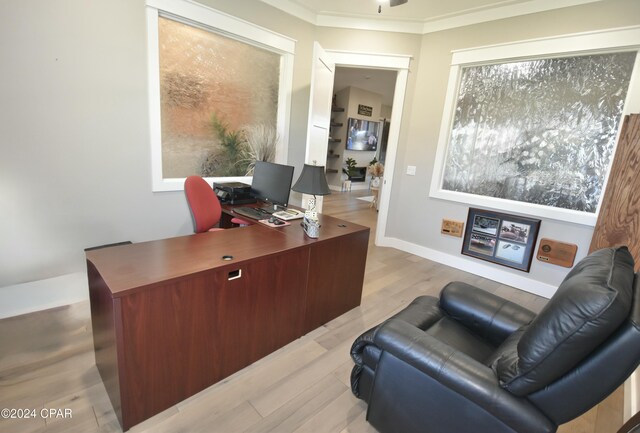 office featuring light wood-type flooring and ornamental molding