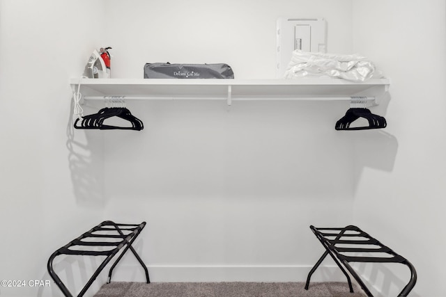 spacious closet with carpet floors