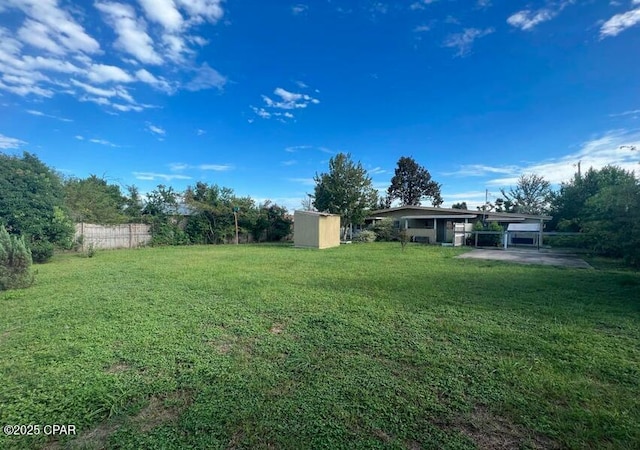 view of yard with a patio and a storage shed