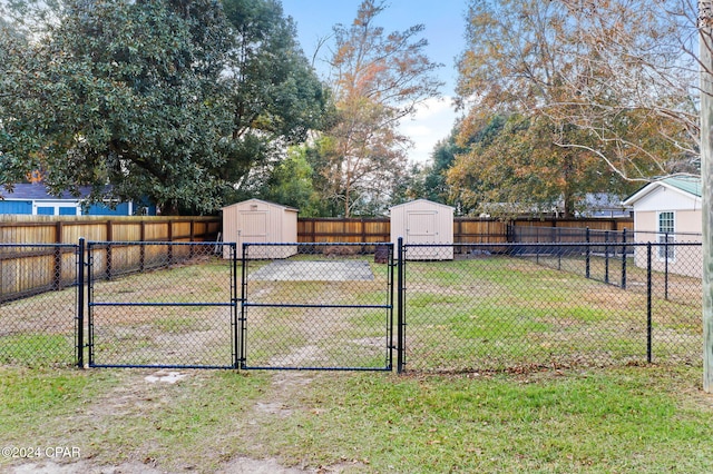 view of yard featuring a shed