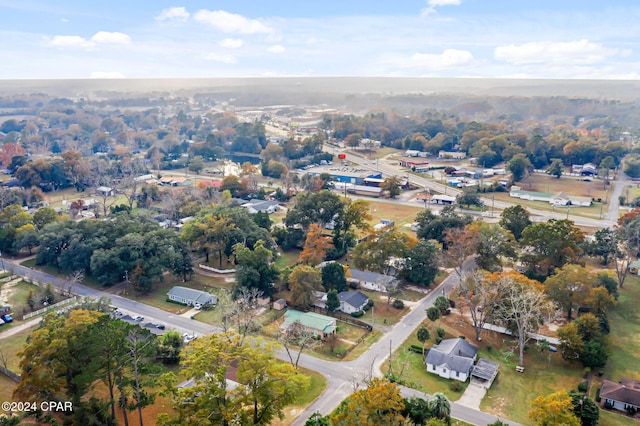 bird's eye view