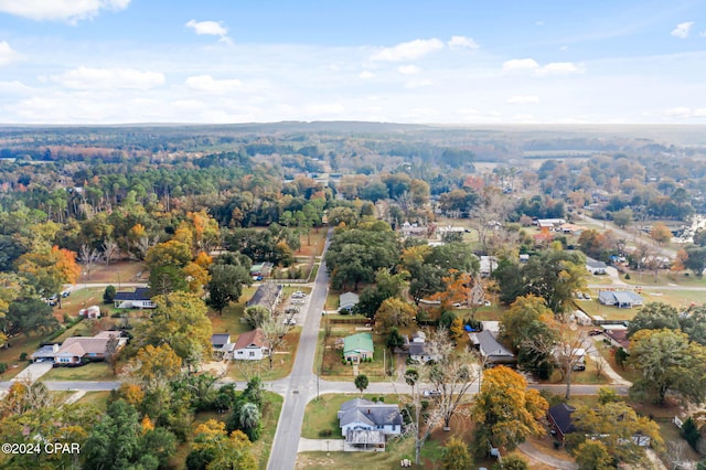 bird's eye view