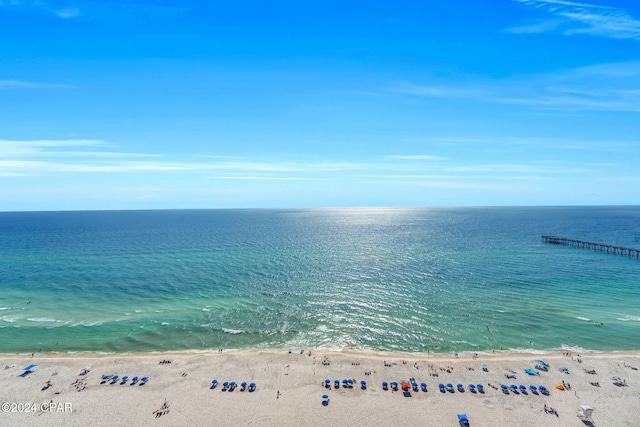 water view featuring a beach view