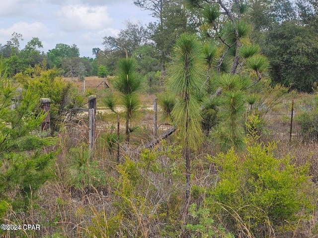 Listing photo 3 for 00 Sand Pond Rd, Chipley FL 32428