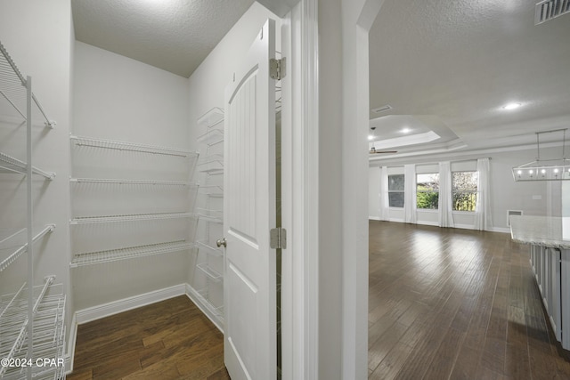 spacious closet featuring dark hardwood / wood-style flooring and a tray ceiling