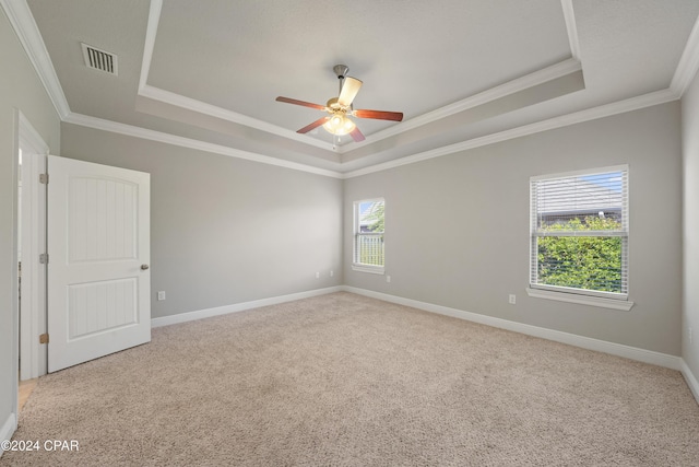 spare room with a raised ceiling, a wealth of natural light, and ornamental molding