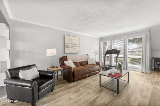 living area with a textured ceiling, ornamental molding, and light wood-type flooring