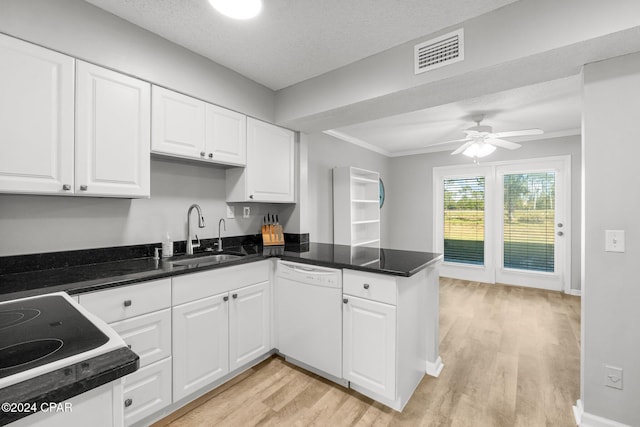 kitchen featuring white cabinets, white dishwasher, and a sink