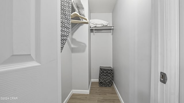 spacious closet with hardwood / wood-style flooring