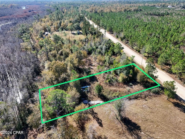 00000 Dead Lakes Dr, Wewahitchka FL, 32465 land for sale