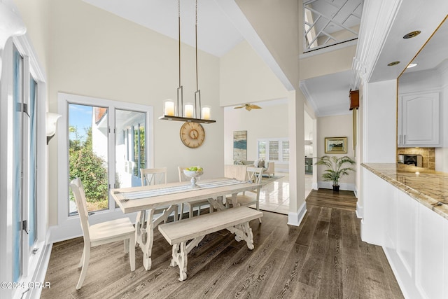 dining room with a high ceiling, dark wood-type flooring, plenty of natural light, and ceiling fan