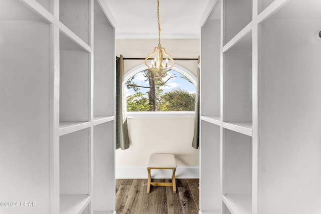 spacious closet featuring wood-type flooring and a chandelier