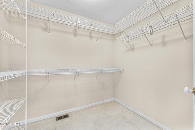 walk in closet featuring carpet flooring