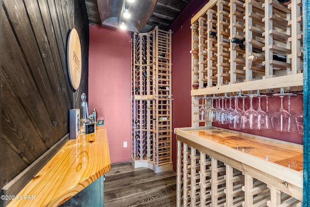 wine cellar with dark hardwood / wood-style flooring