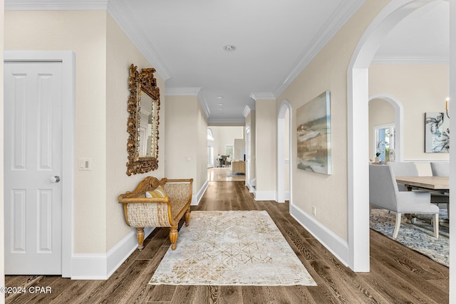 hall featuring dark hardwood / wood-style flooring and ornamental molding