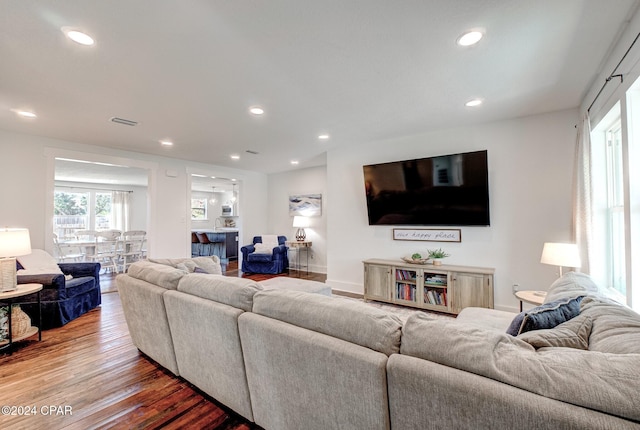 living room with wood-type flooring