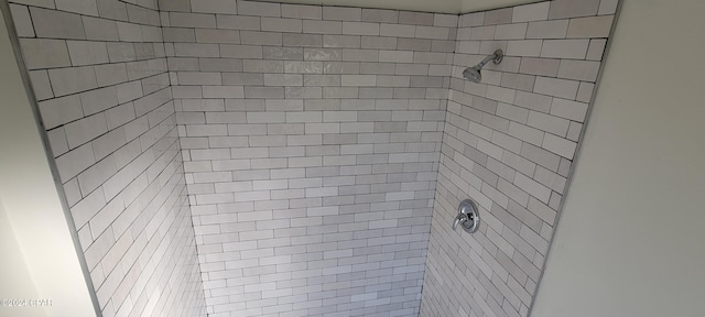 interior details featuring a tile shower