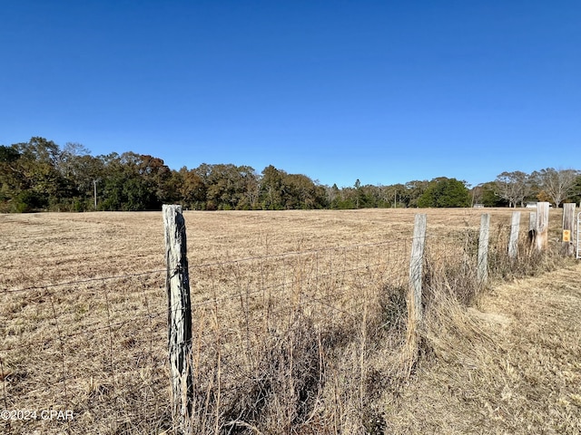 view of yard featuring a rural view