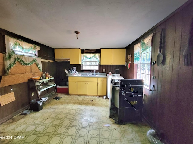 kitchen featuring wooden walls and sink