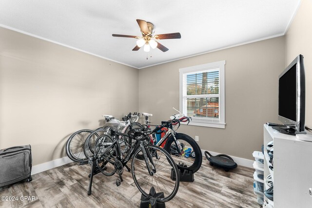 interior space featuring hardwood / wood-style flooring, ceiling fan, and ornamental molding