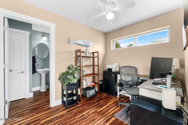 office area featuring ceiling fan, sink, and dark wood-type flooring