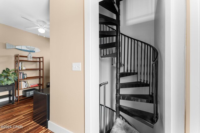 staircase with hardwood / wood-style floors and ceiling fan