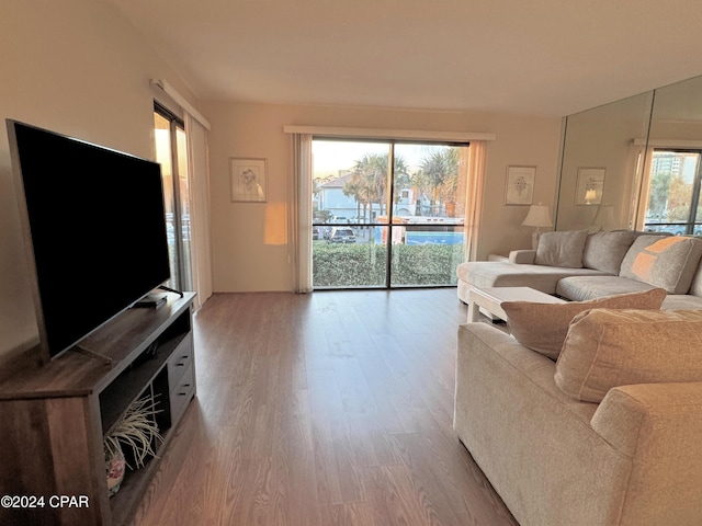 living room with hardwood / wood-style floors