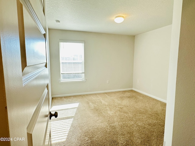 spare room featuring light colored carpet and a textured ceiling