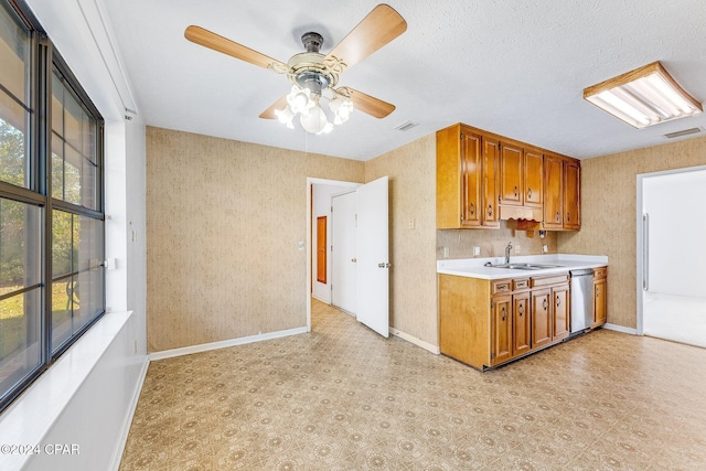 kitchen with ceiling fan, dishwasher, and sink