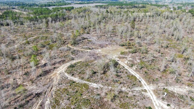0 Decon Rd, Bonifay, FL 32425