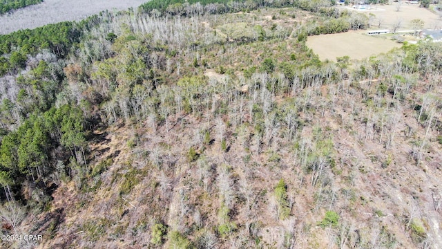 0 Decon Rd, Bonifay, FL 32425